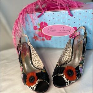 Shoes by Poetic License